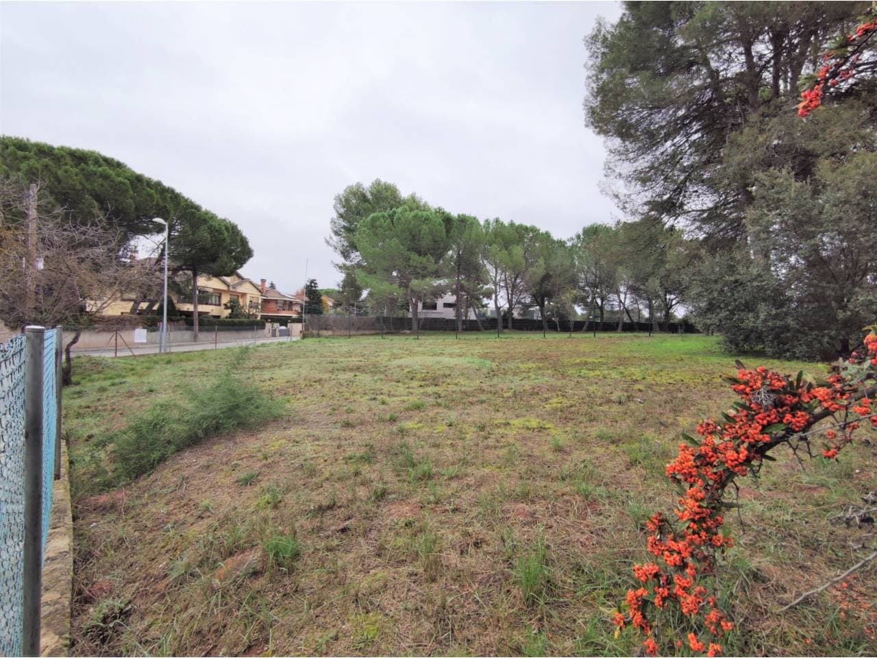 Terreny a Sant Fruitós de Bages — Foto 7 de 8
