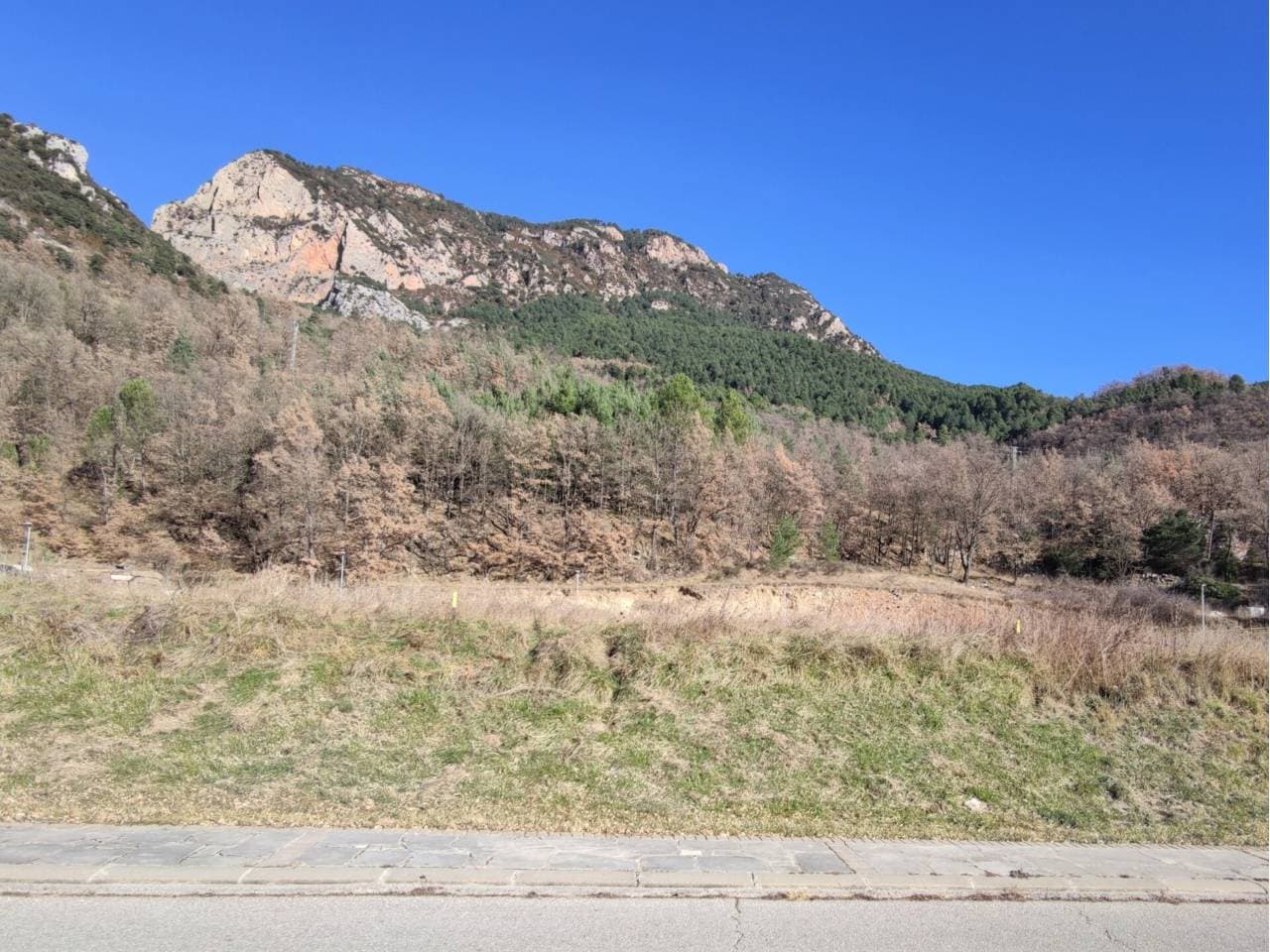 Parcel·la a La Coma i la Pedra — Foto 10 de 11