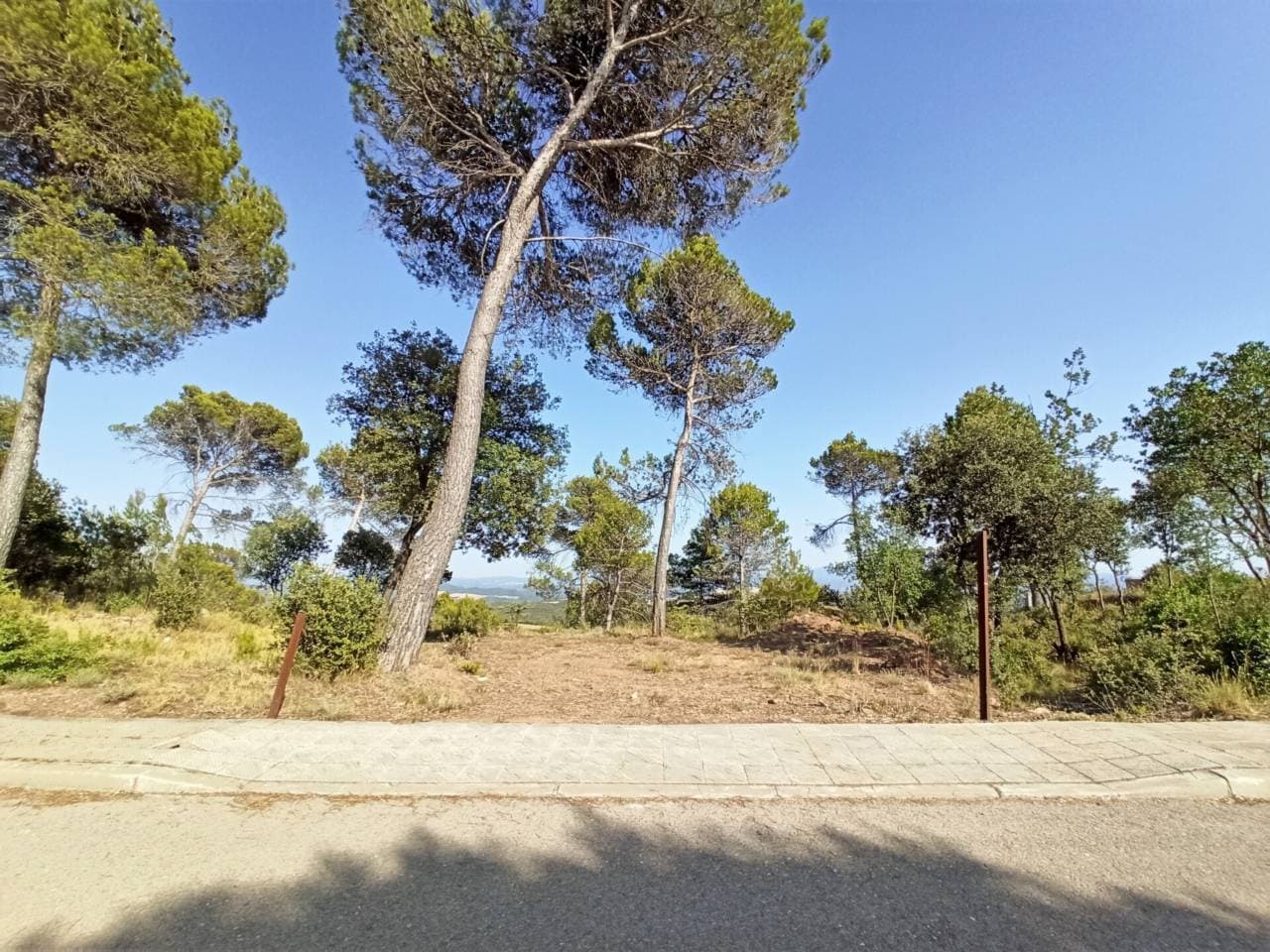 Terreny a Castellnou de Bages — Foto 4 de 9