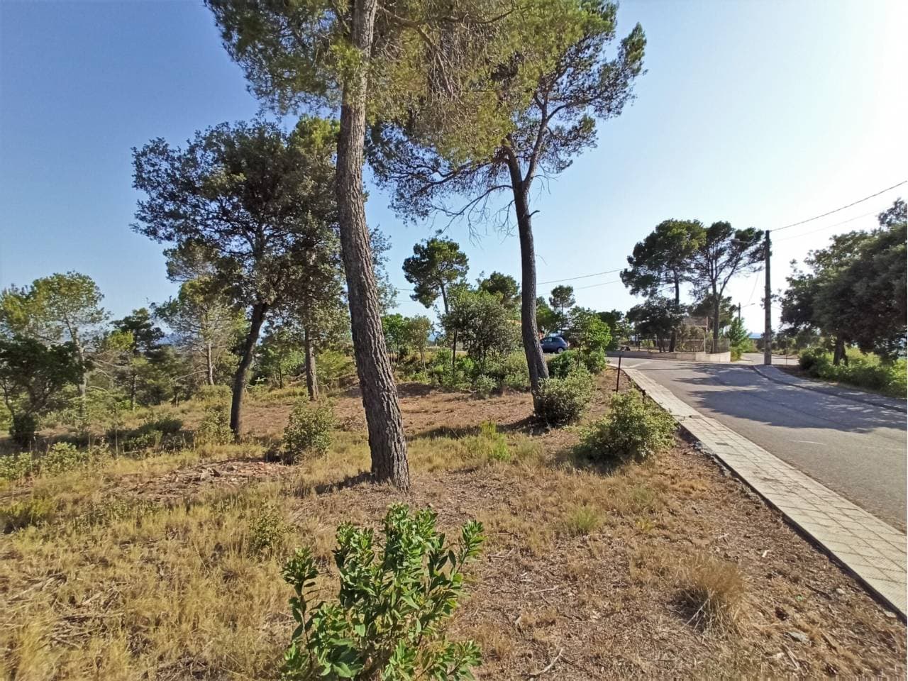 Terreny a Castellnou de Bages — Foto 5 de 9
