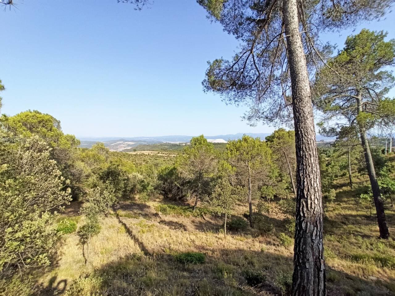 Terreny a Castellnou de Bages — Foto 2 de 9