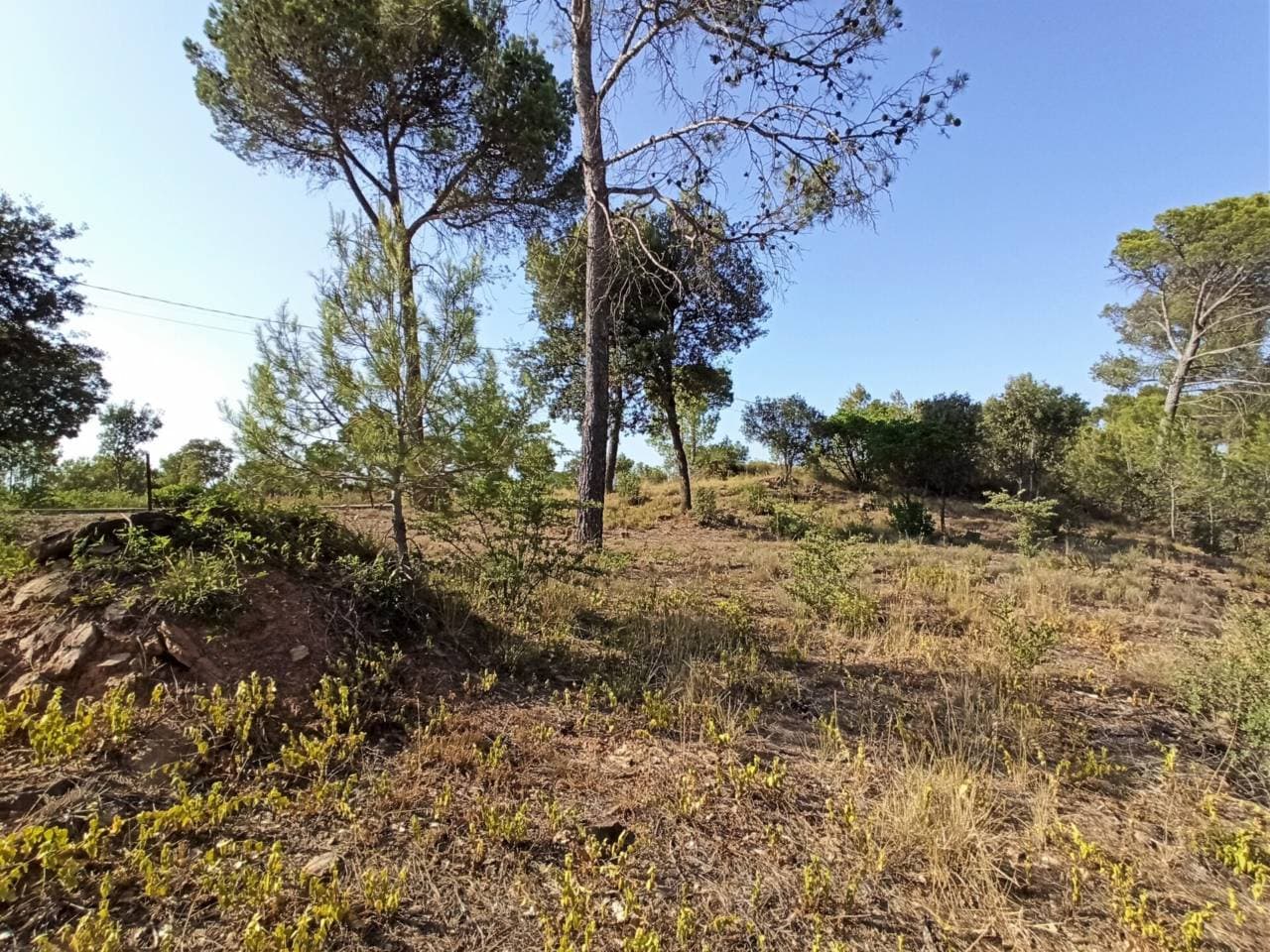 Terreny a Castellnou de Bages — Foto 8 de 9