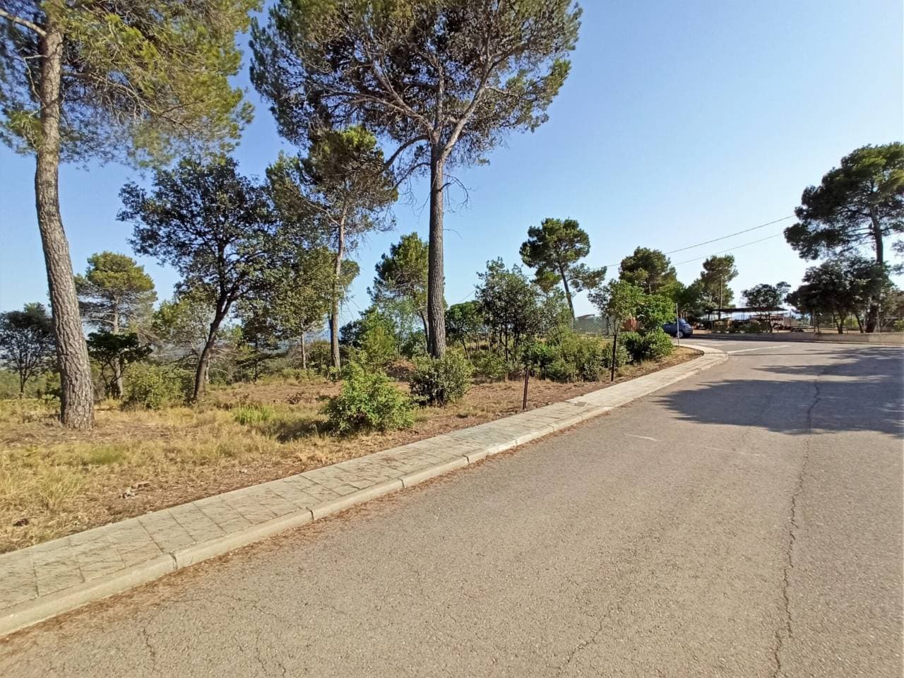 Terreny a Castellnou de Bages — Foto 3 de 9