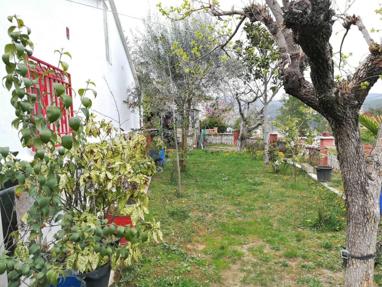 Casa a Sant Salvador de Guardiola — Foto 5 de 13